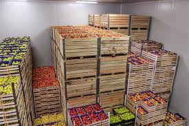 nandikoti_Fruits & vegetables Cold Storage Room